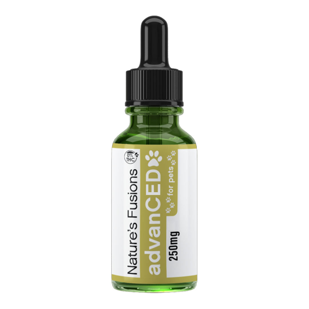 Hemp Tincture for Pets – 250mg THC-Free - High quality pet product