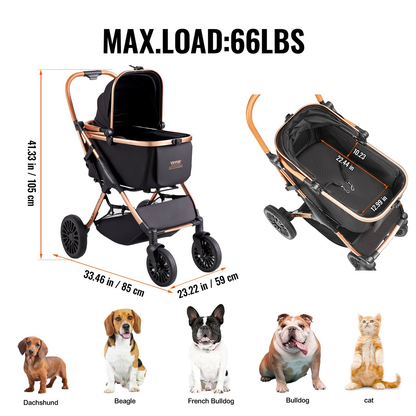 81503152