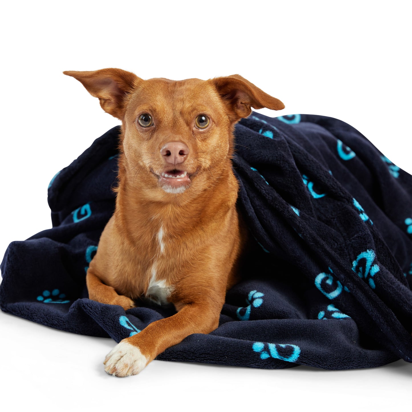 Navy Fleece Pet Blanket – Couch & Car Ready