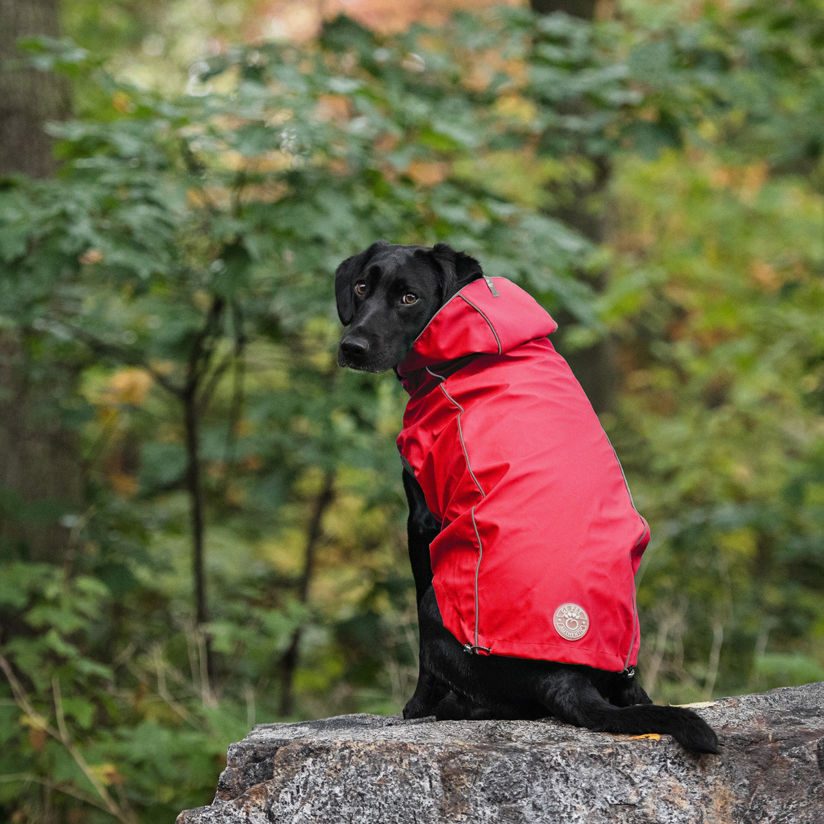 Dog Raincoat - Elasto-Fit Reversible Red - folded view