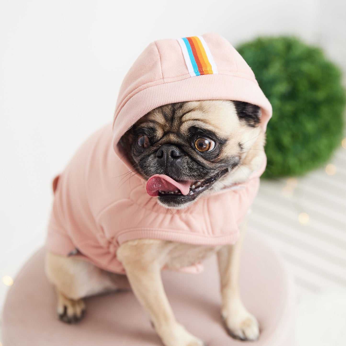 Dog Hoodie – Urban Kangaroo Pocket Pink