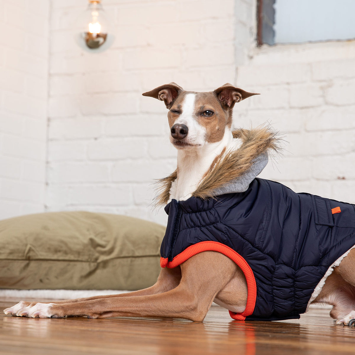 Dog Parka - Winter Sailor Sherpa Navy - close-up view