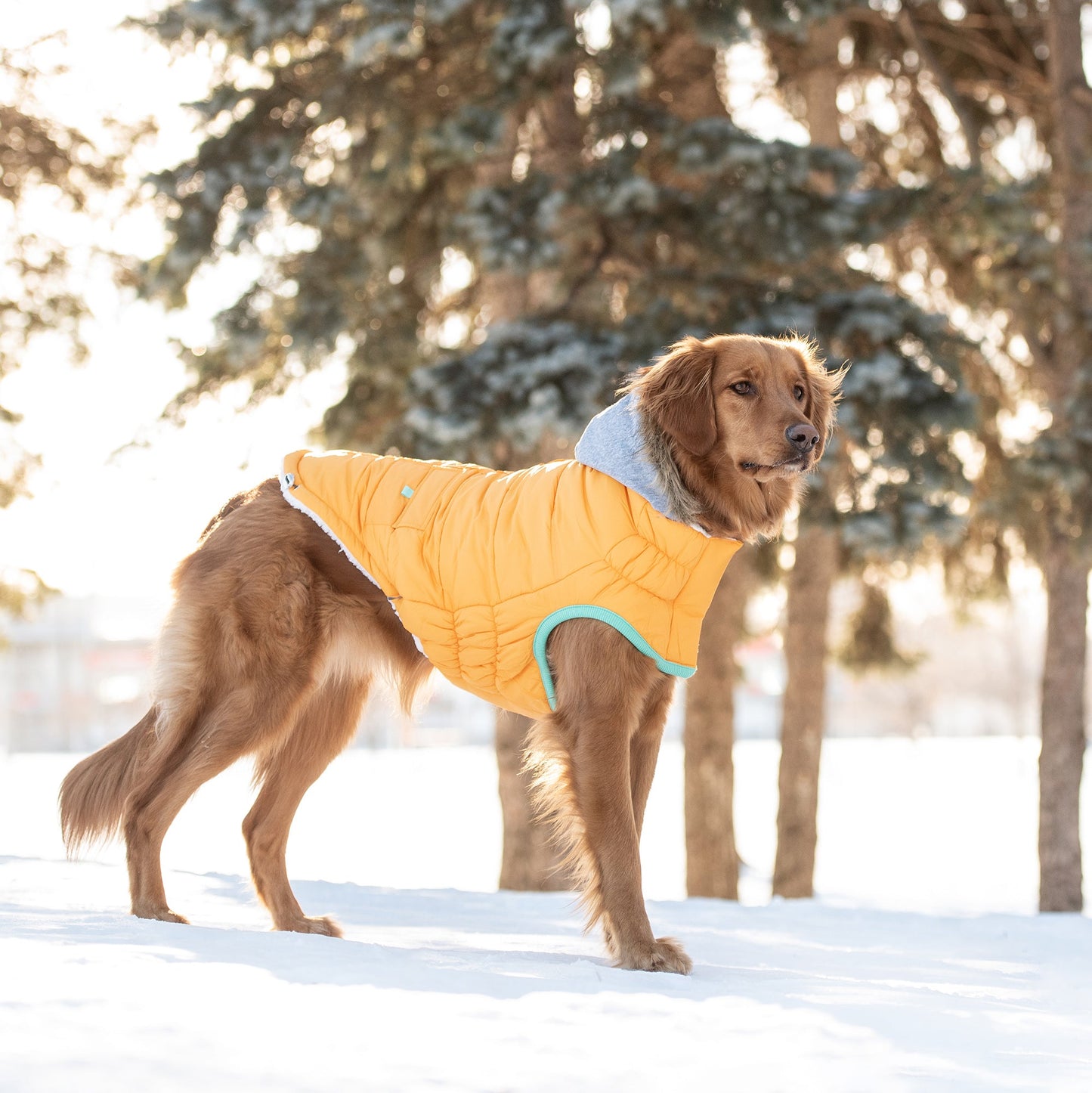 Dog Parka – Winter Sailor Vegan Fur Hood