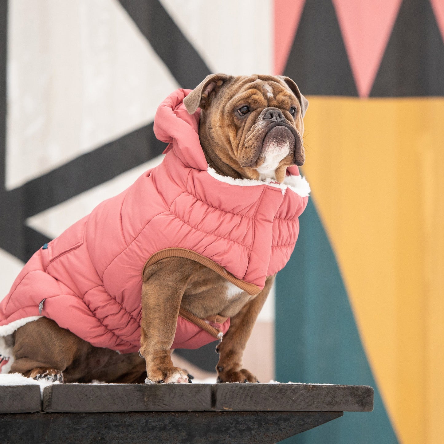 Puff Parka for Dogs – Pink | Insulated Winter Coat