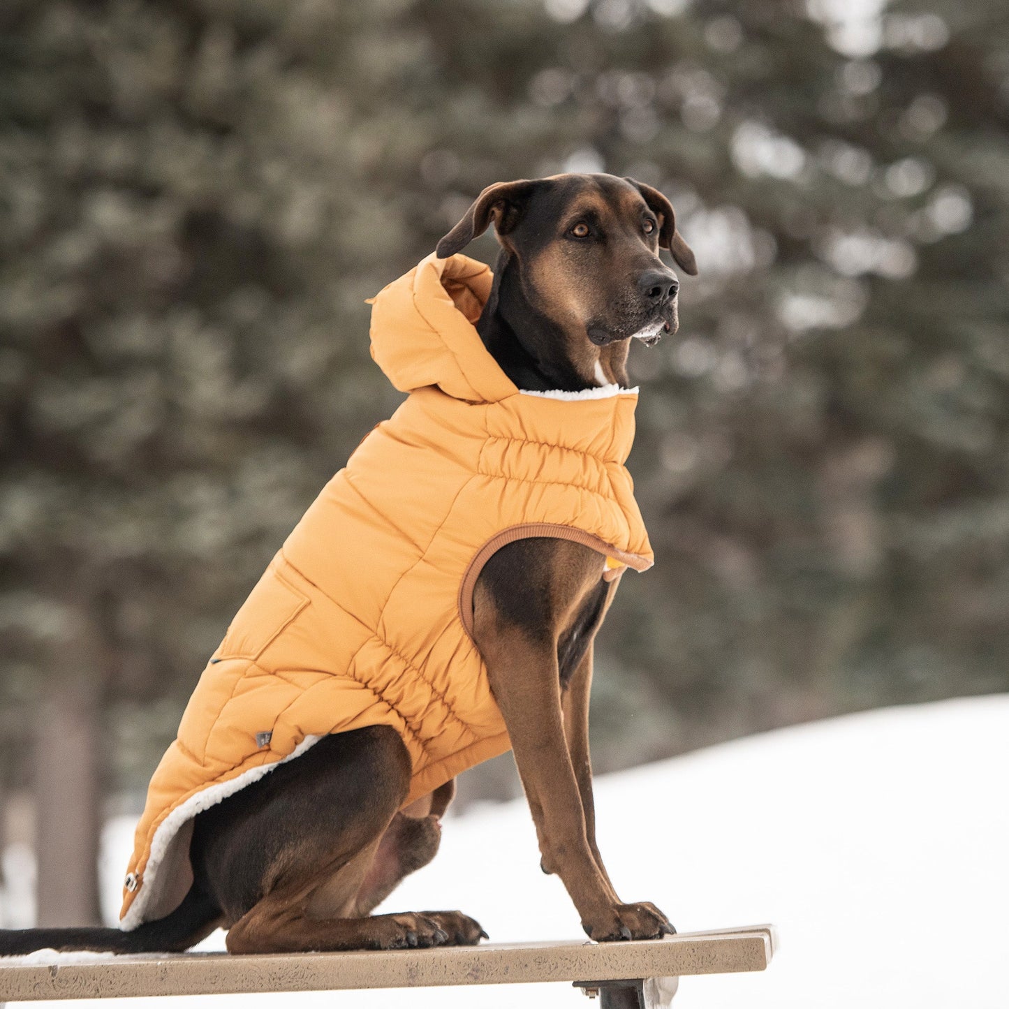 Dog Jacket – Puff Parka Ultra Puffy Sherpa