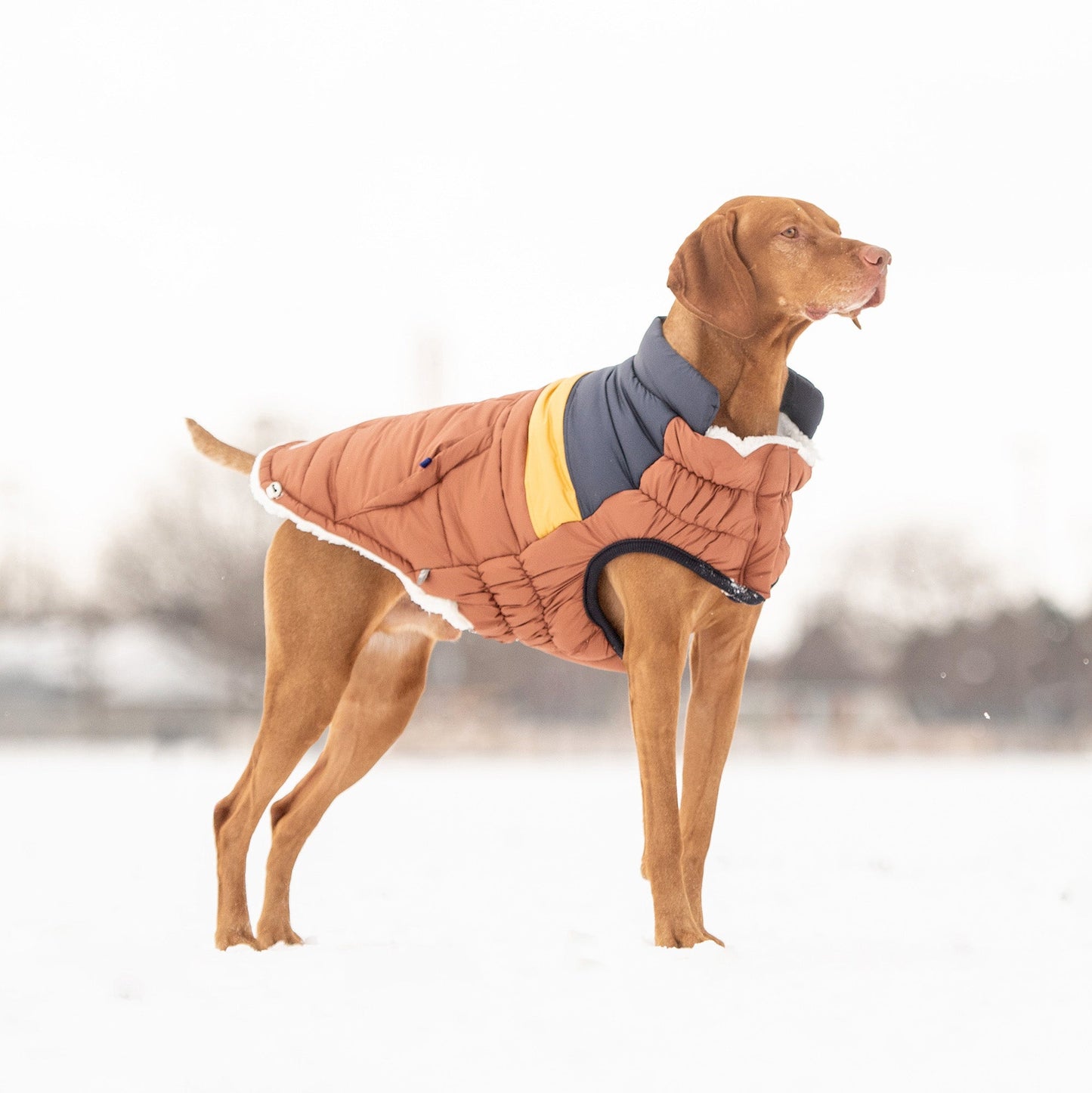 Dog Jacket – Elasto-Fit Retro Puffer Hazel