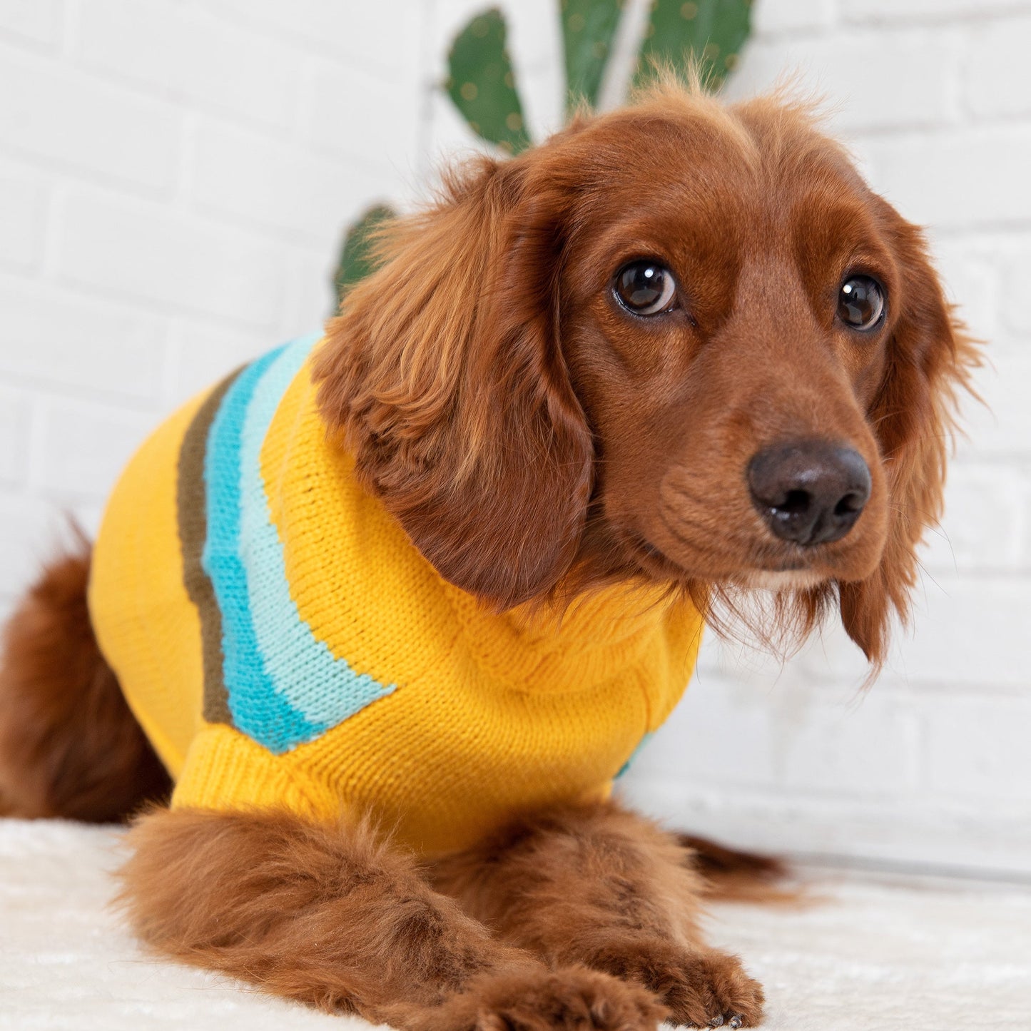 Alpine Dog Sweater – Yellow | Retro Turtleneck