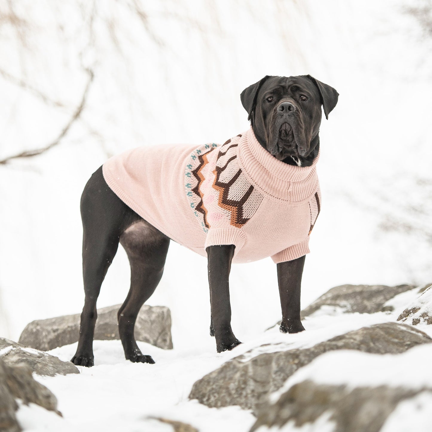 Dog Sweater – Heritage Vintage Pink