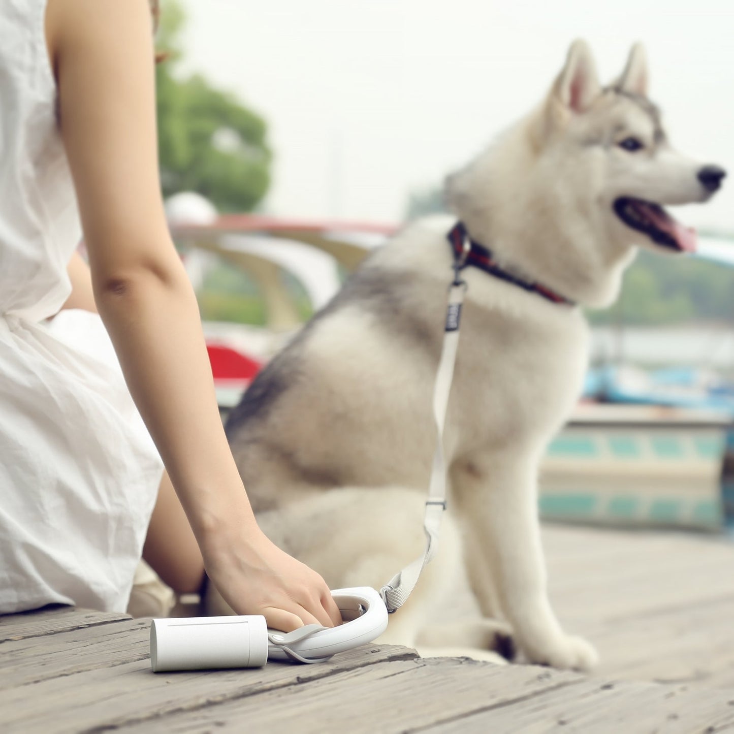 Portable Dog Waste Bag Dispenser – Leak-Proof - High quality pet product