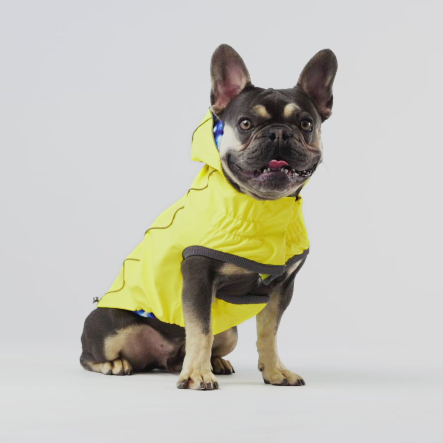 Dog Raincoat – Elasto-Fit Reversible Yellow Blue