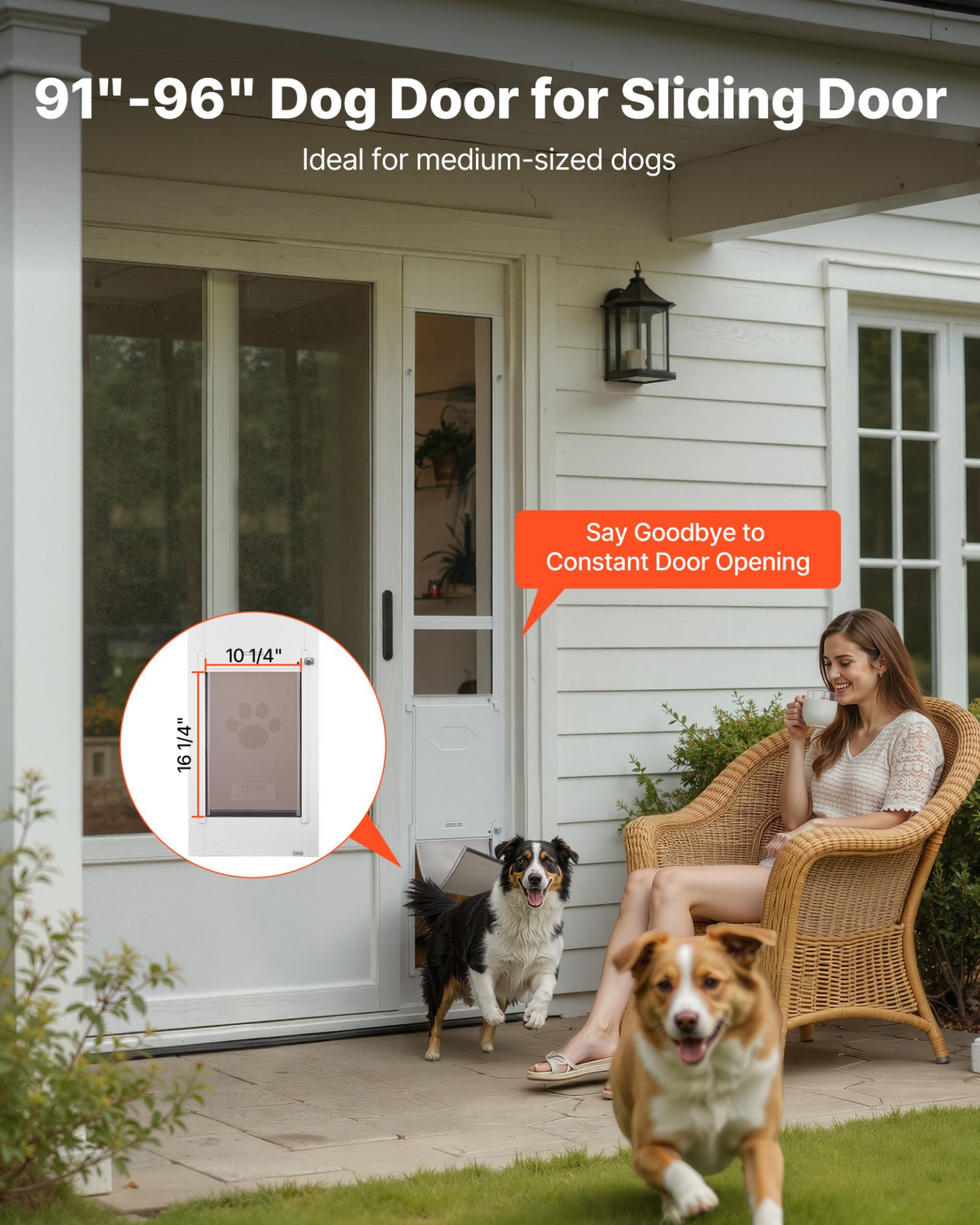 81502644