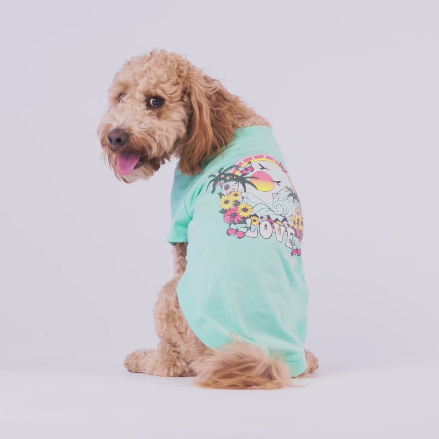 Dog Tee – Graphic Vintage Sporty Print