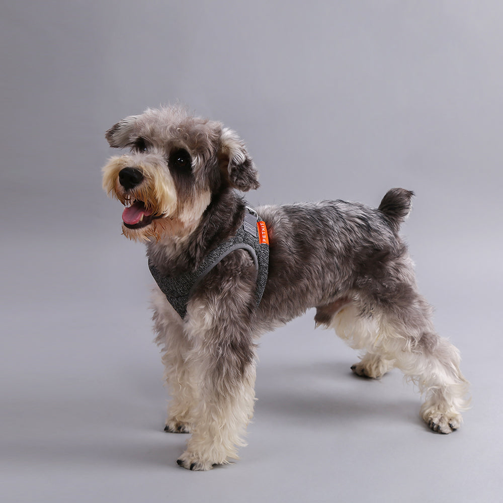 Dog Harness – Air Pro Foam Padded Breathable