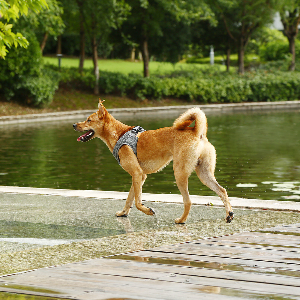 Dog Harness – Air Pro Foam Padded Breathable