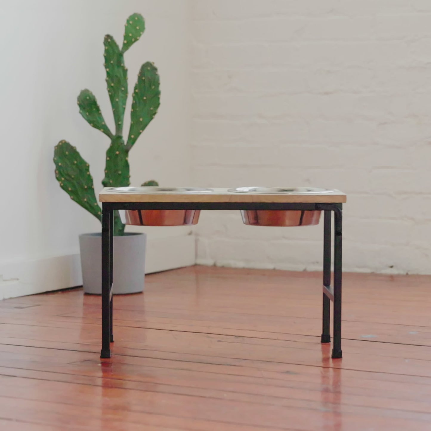 Wood and metal elevated pet feeder in home setting next to a cactus plant, lifestyle photo