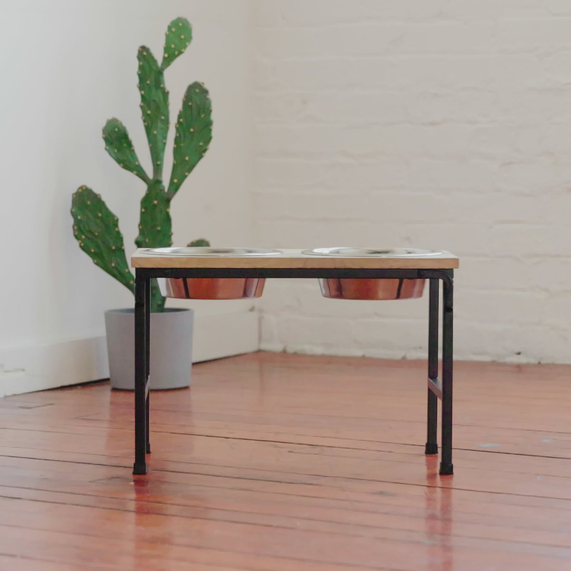 Wood and metal elevated pet feeder in home setting next to a cactus plant, lifestyle photo