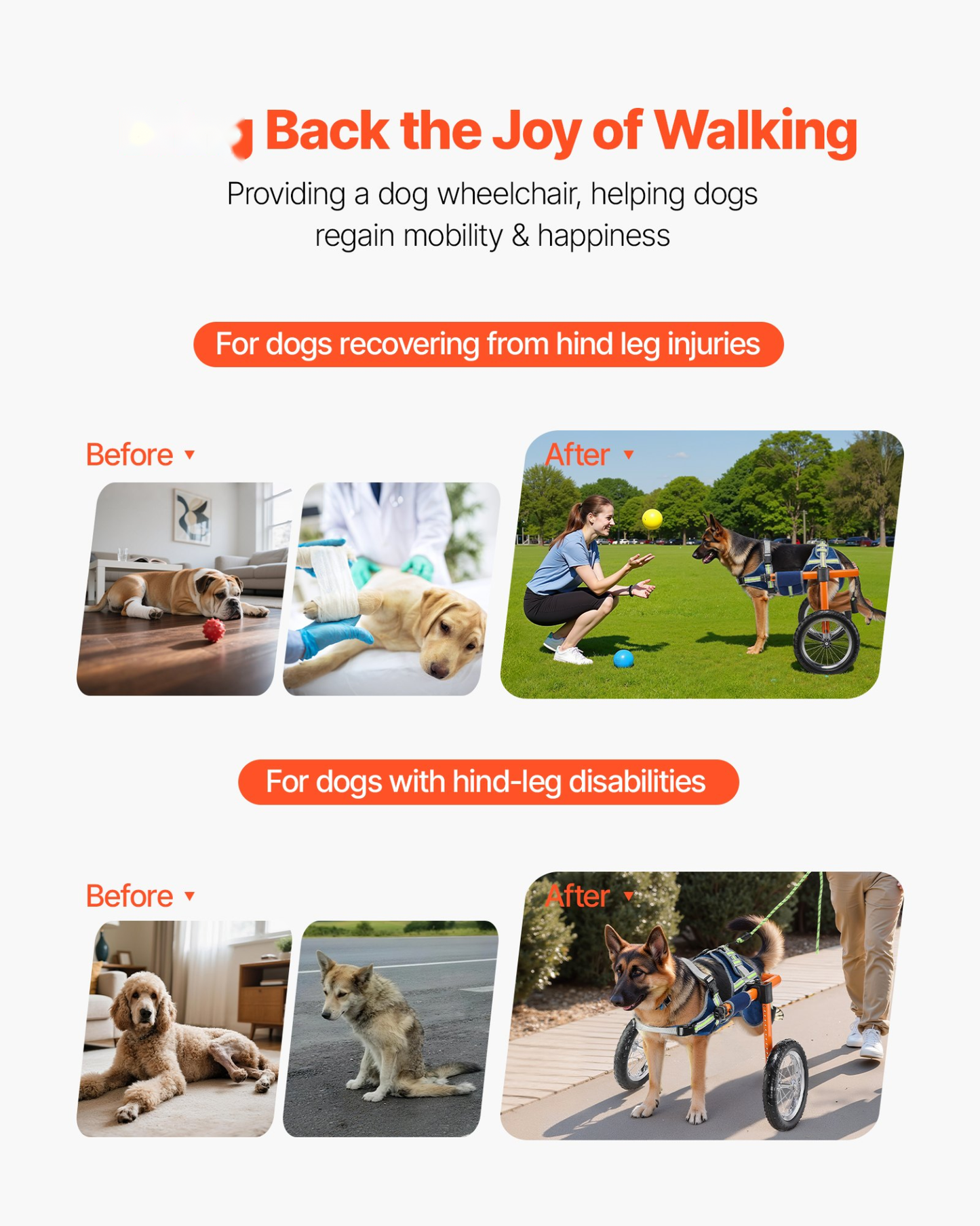 Dog Wheelchair – Large Back Leg Support