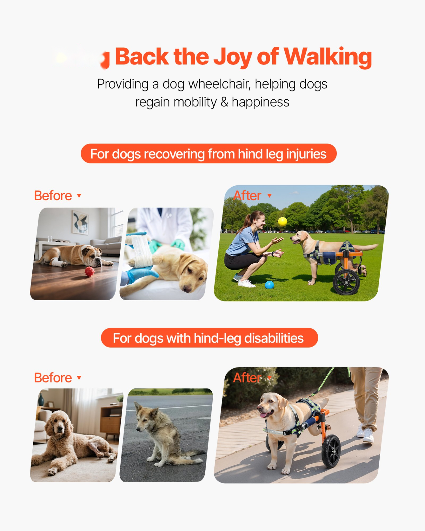 Dog Wheelchair – Rear Leg Support for 35-48 lb Dogs