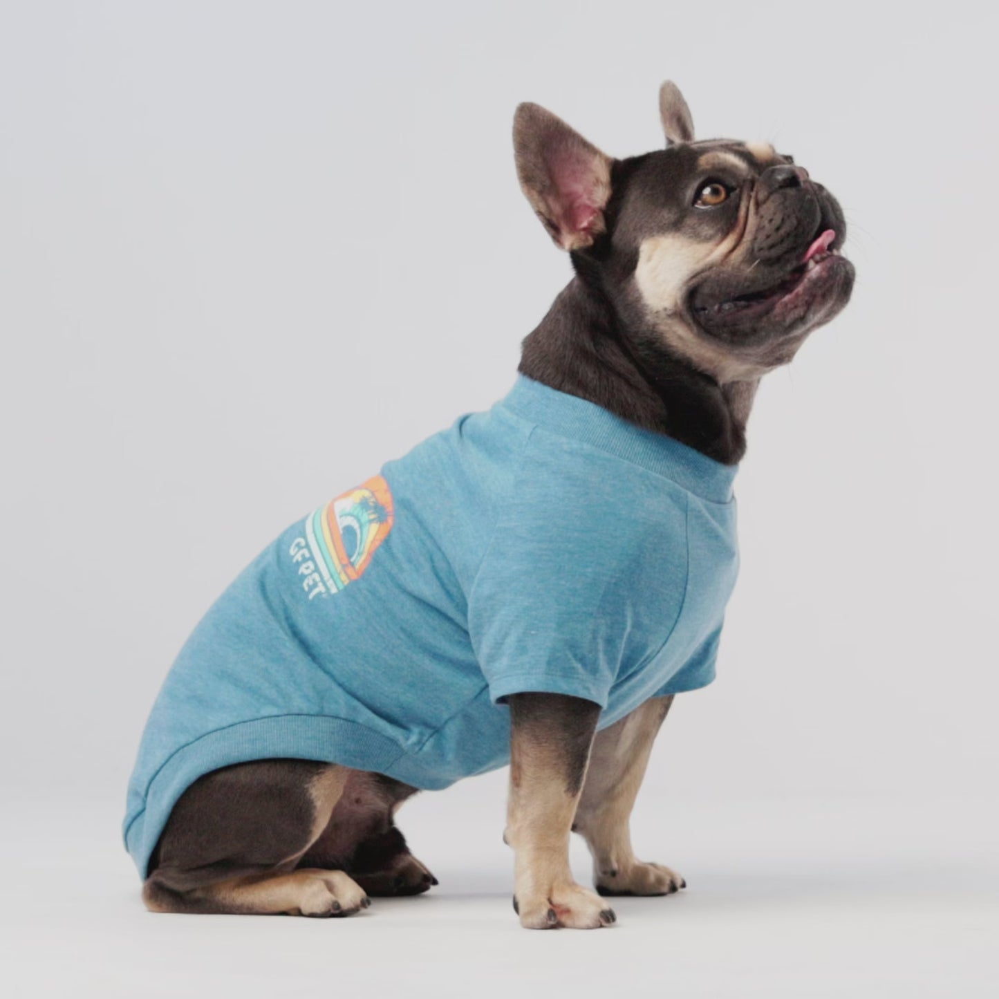 Graphic Dog Tee – Vintage Sporty Print, Raglan Sleeves, Blue