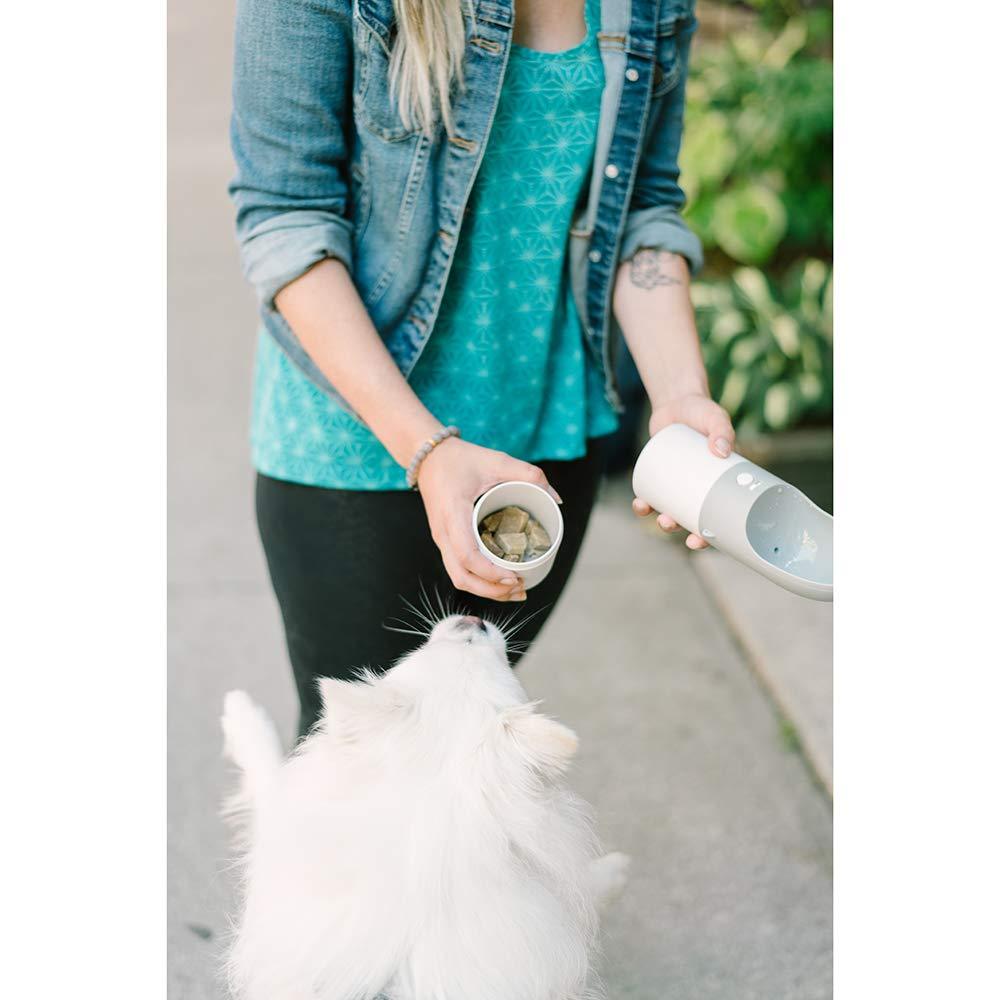 White small dog outdoors with INSTACHEW Rover treat container held nearby lifestyle scene