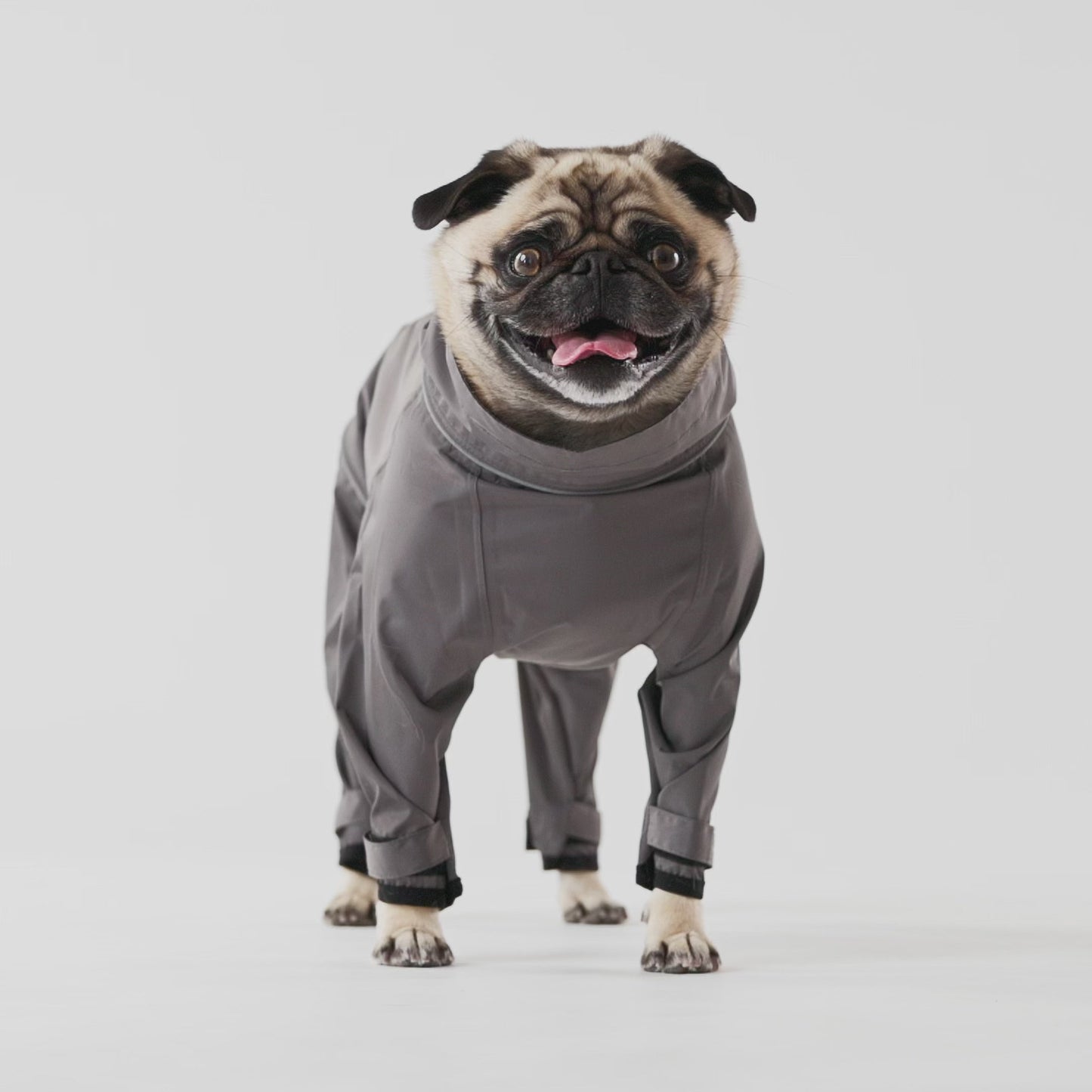 Dog Coverall – Splash Suit Full Body Waterproof