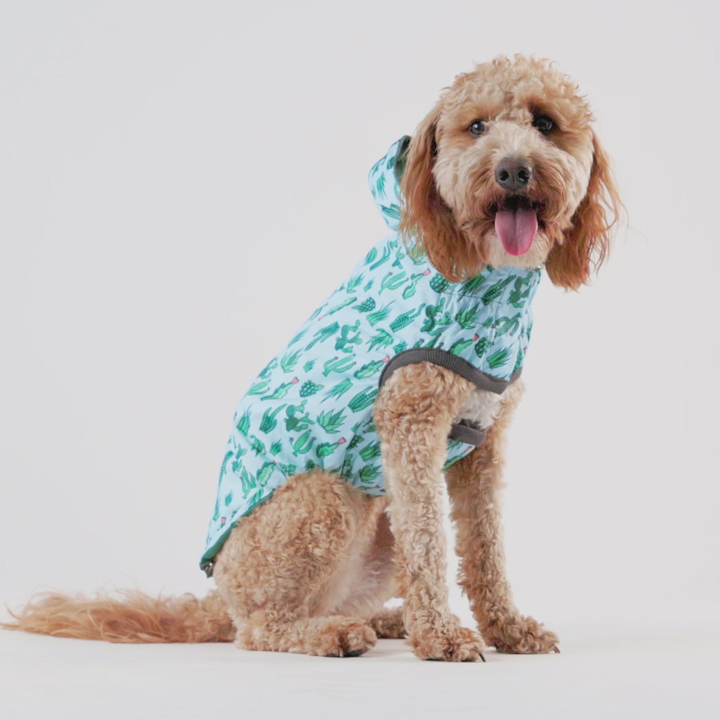 Dog Raincoat – Elasto-Fit Reversible Green