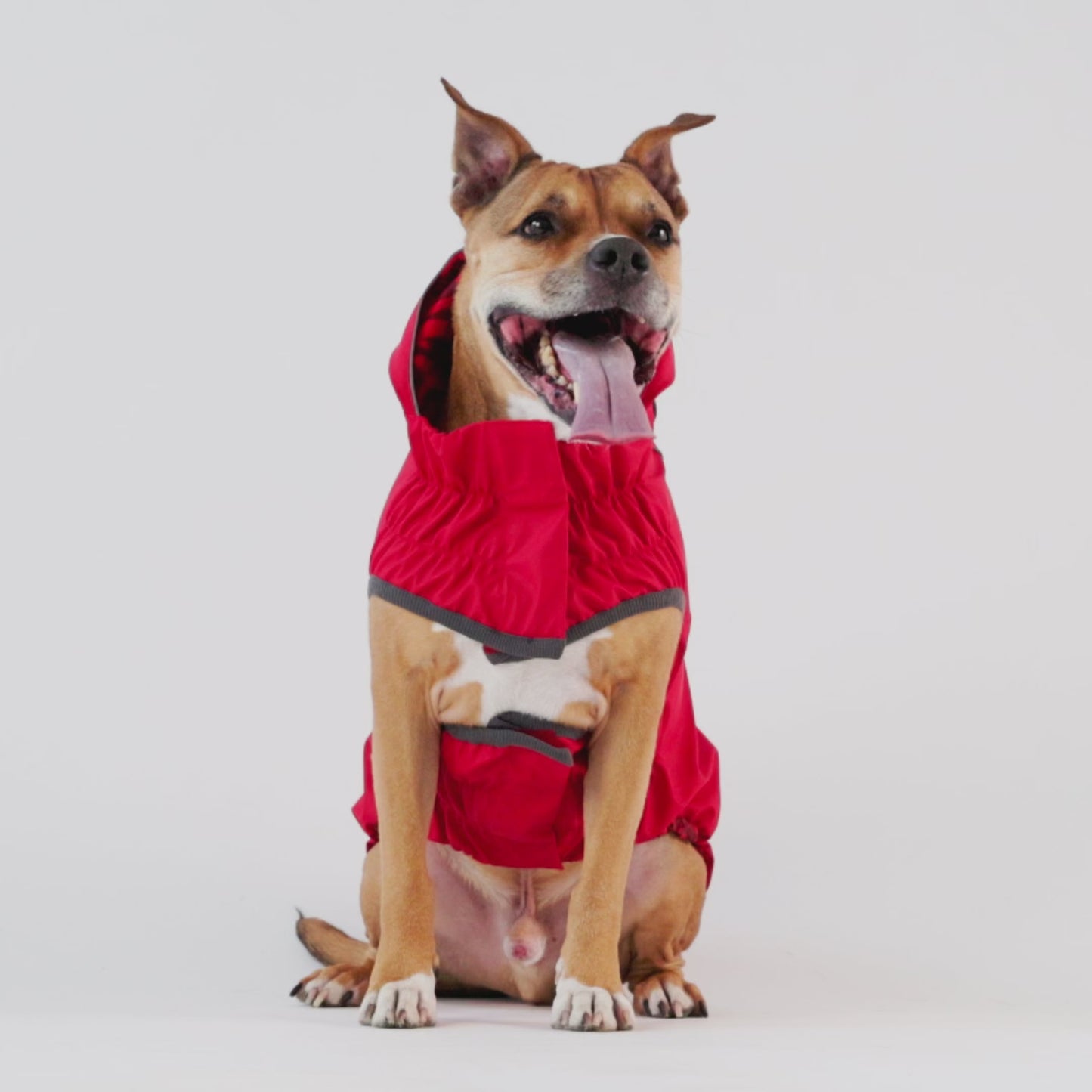 Elasto-Fit Reversible Dog Raincoat – Waterproof, Red/Red