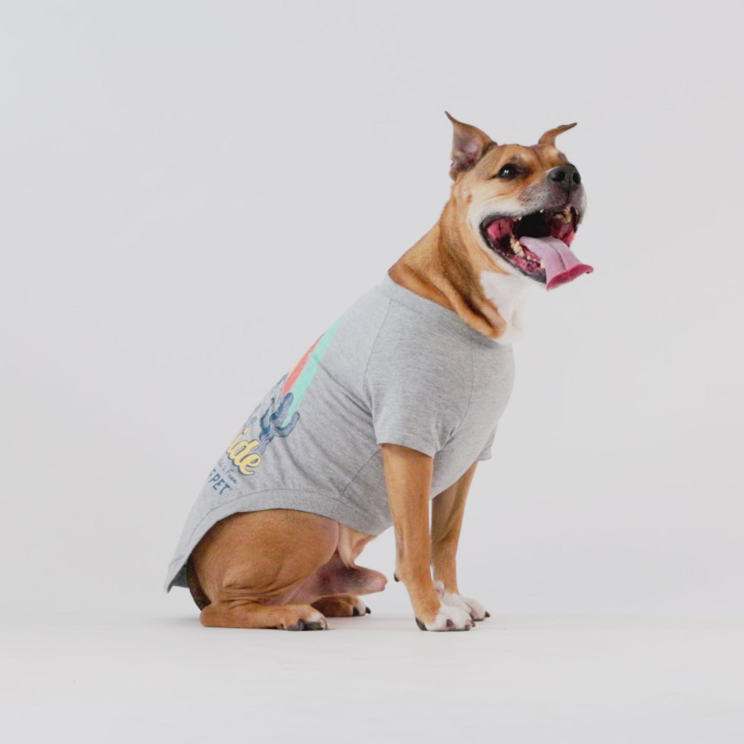 Dog Graphic Tee – Vintage Sporty Style, Grey