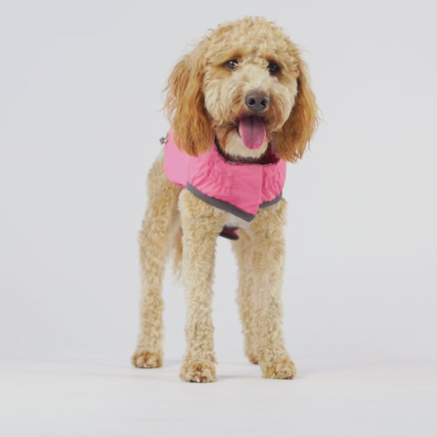Dog Raincoat – Elasto-Fit Reversible Pink