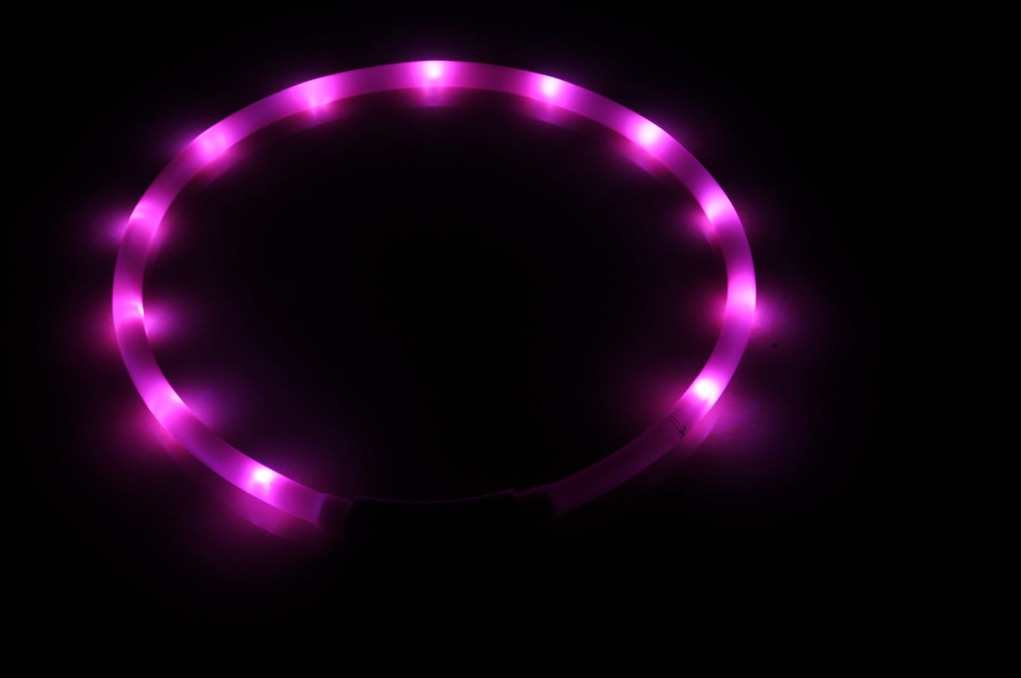 Dog Collar – LED Light-Up USB Rechargeable Pink