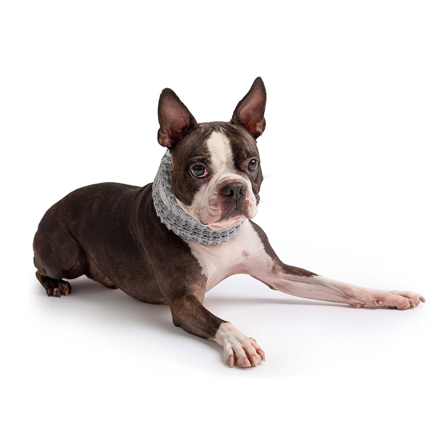 Chalet Tube Scarf for Dogs – Heather Grey | Neck Warmer