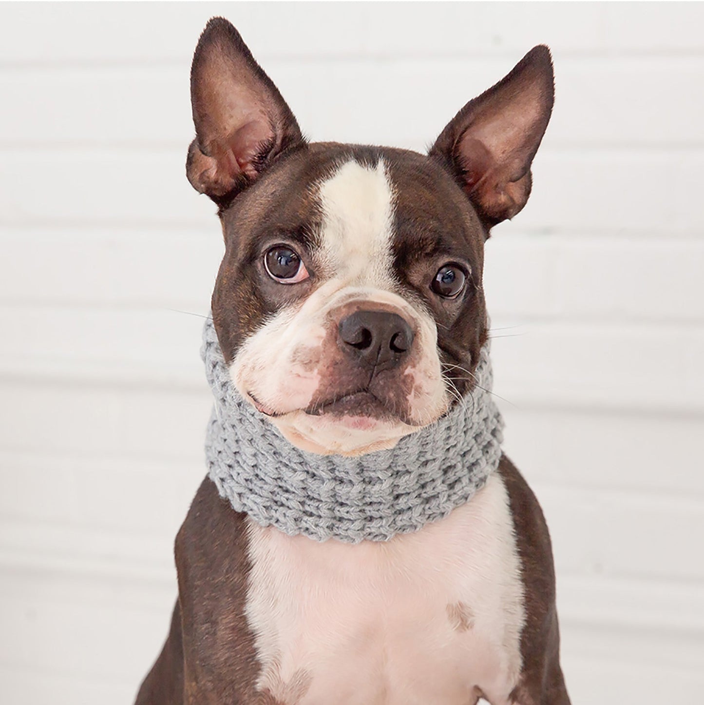 Chalet Tube Scarf for Dogs – Heather Grey | Neck Warmer
