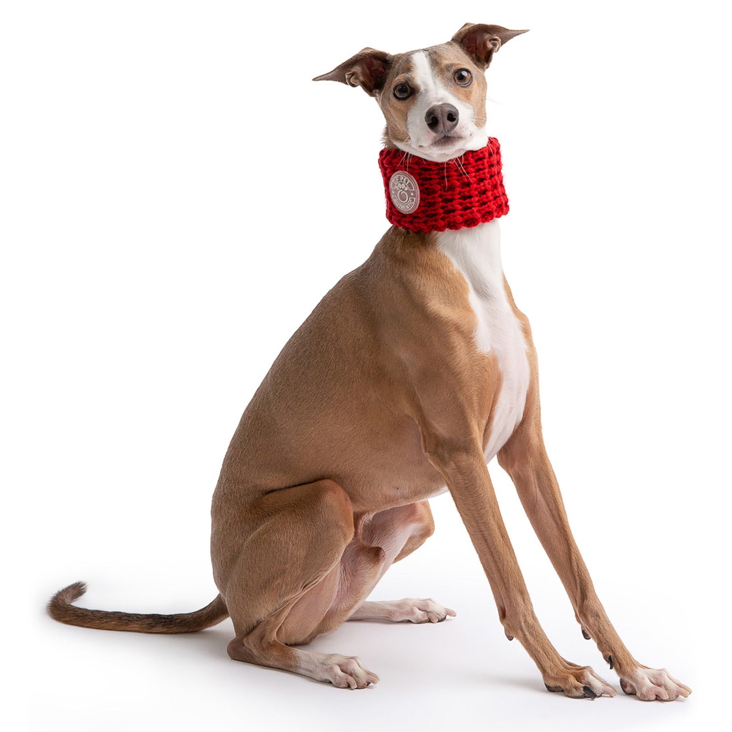 Chalet Tube Scarf for Dogs – Red | Neck Warmer