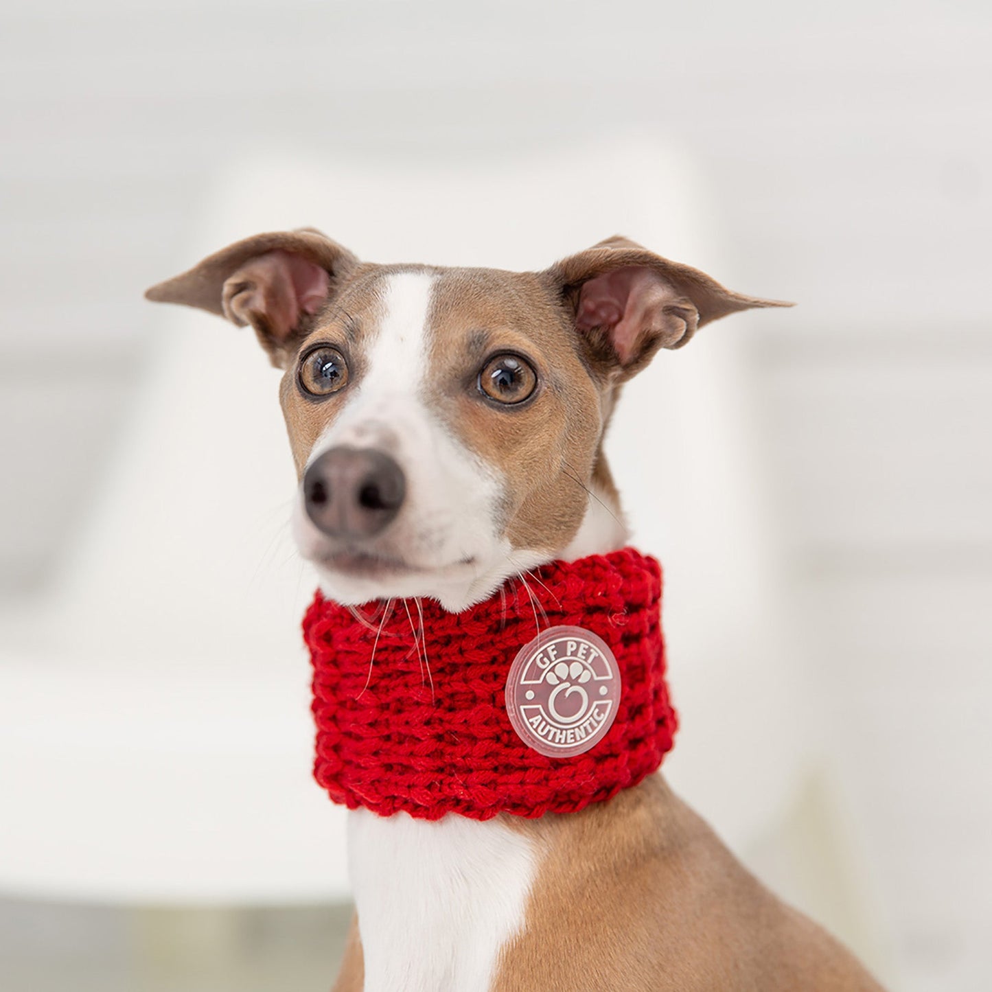 Chalet Tube Scarf for Dogs – Red | Neck Warmer