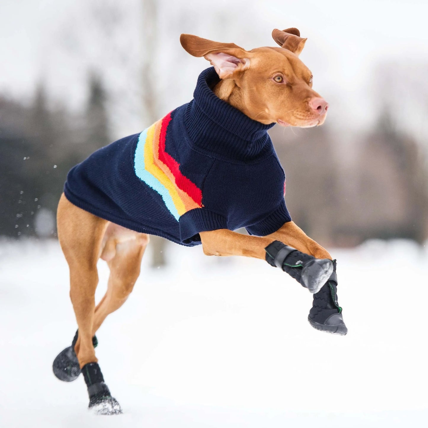 Dog Boots – Stretchy Neoprene Water-Resistant