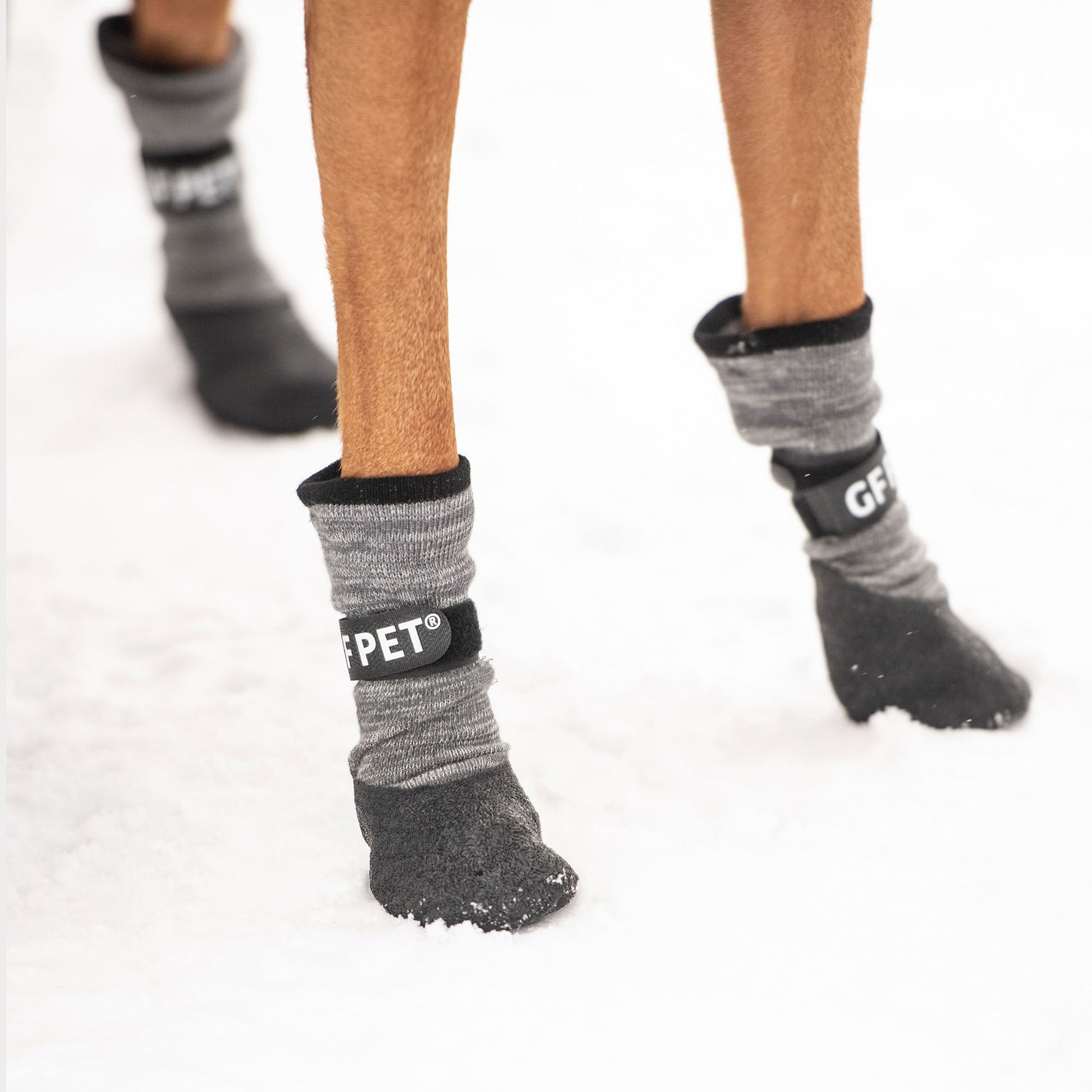 Dog rear paws wearing GF Pet charcoal all terrain waterproof boots in snow showing winter protection and anti-slip sole performance