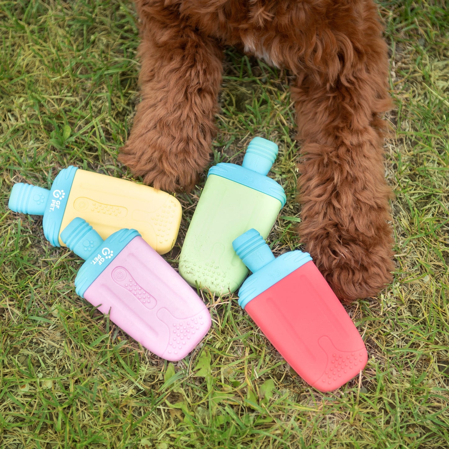 Dog Ice Toy Pack – Freeze & Play Relief Chews, 24pc