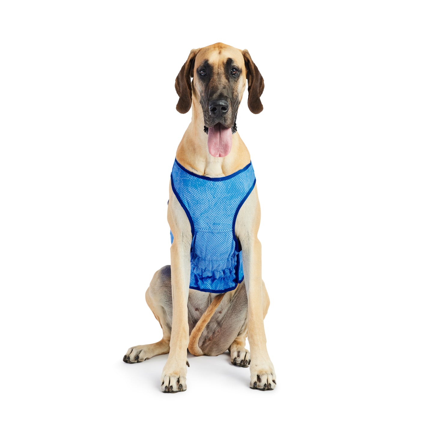 Elasto-FIT Dog Ice Vest – Blue | Summer Cooling Vest