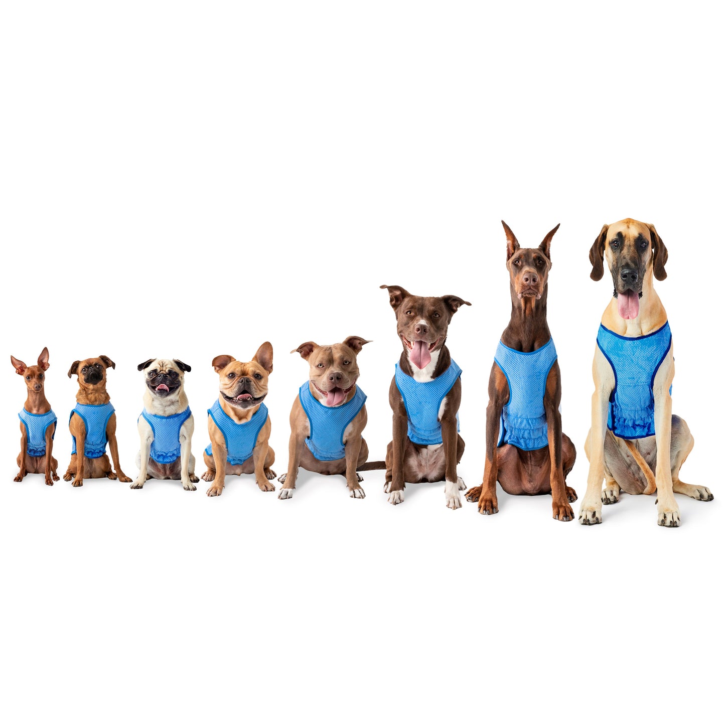 Elasto-FIT Dog Ice Vest – Blue | Summer Cooling Vest