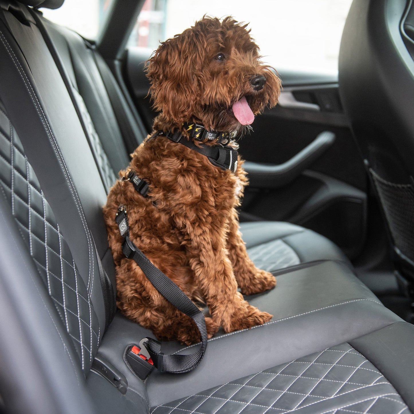 Car Safety Seat Belt Tether – Adjustable Length