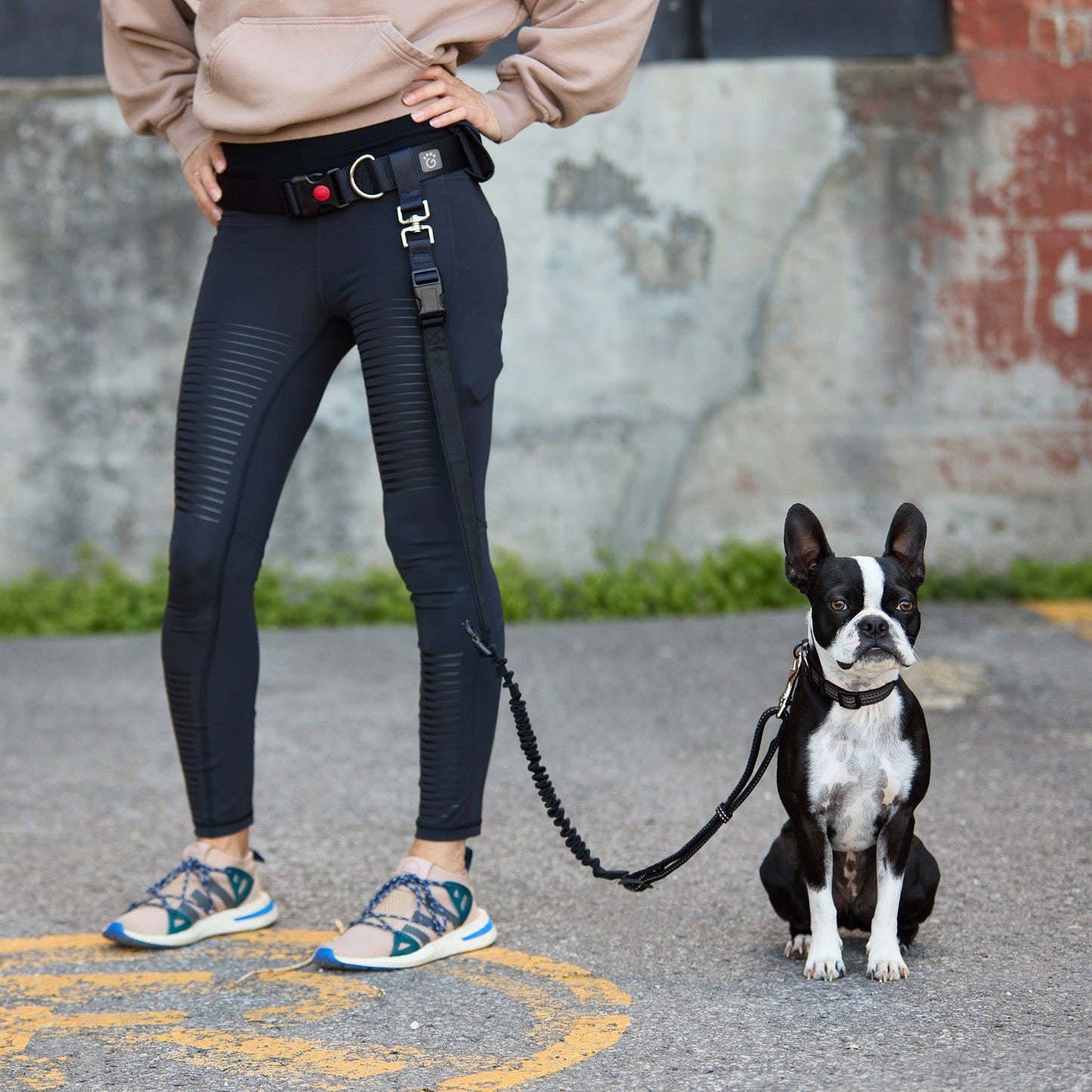 Dog Leash – Hands-Free Bungee Waist Belt
