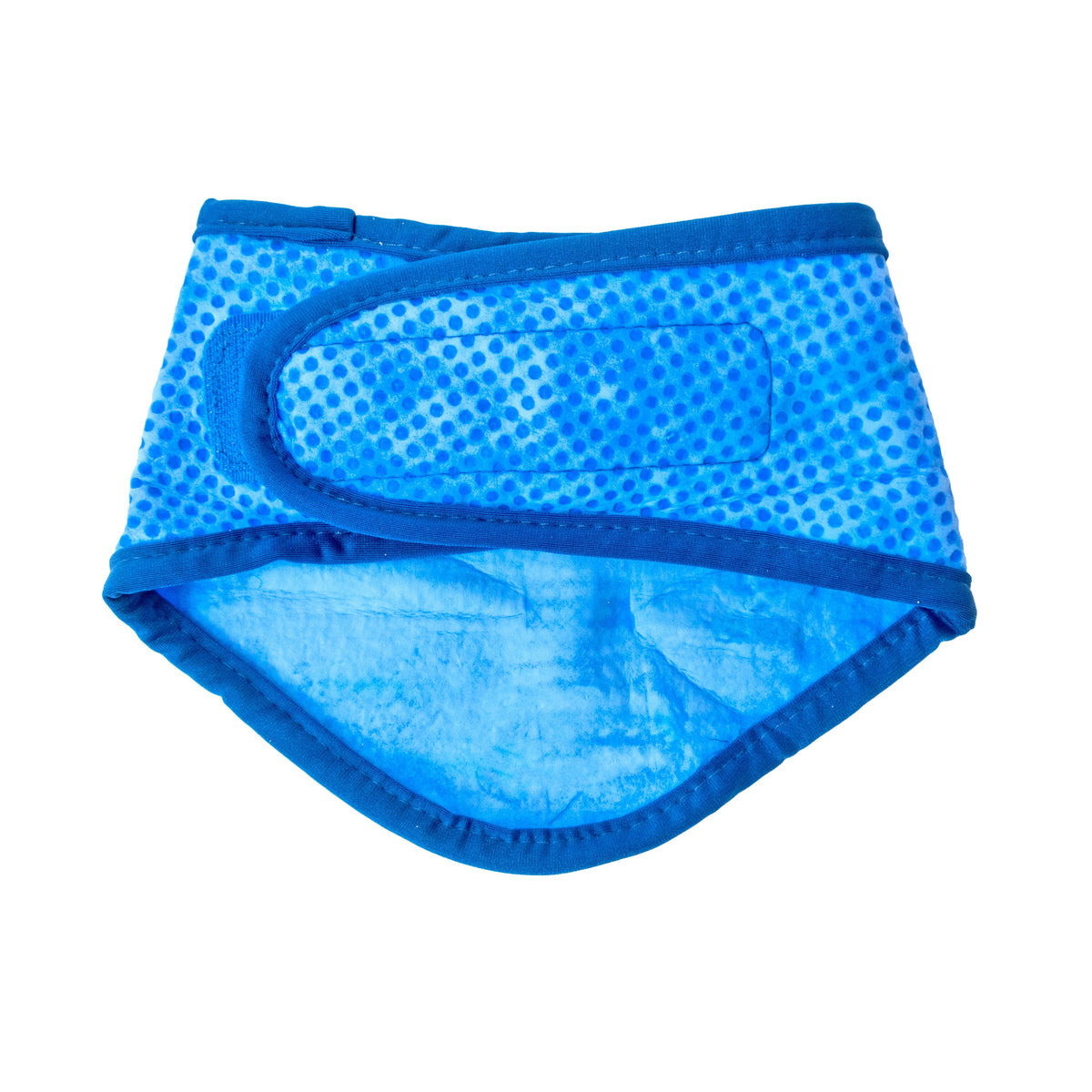 Cooling Dog Bandana - ICE BAND COOLFRESH Blue - lifestyle photo