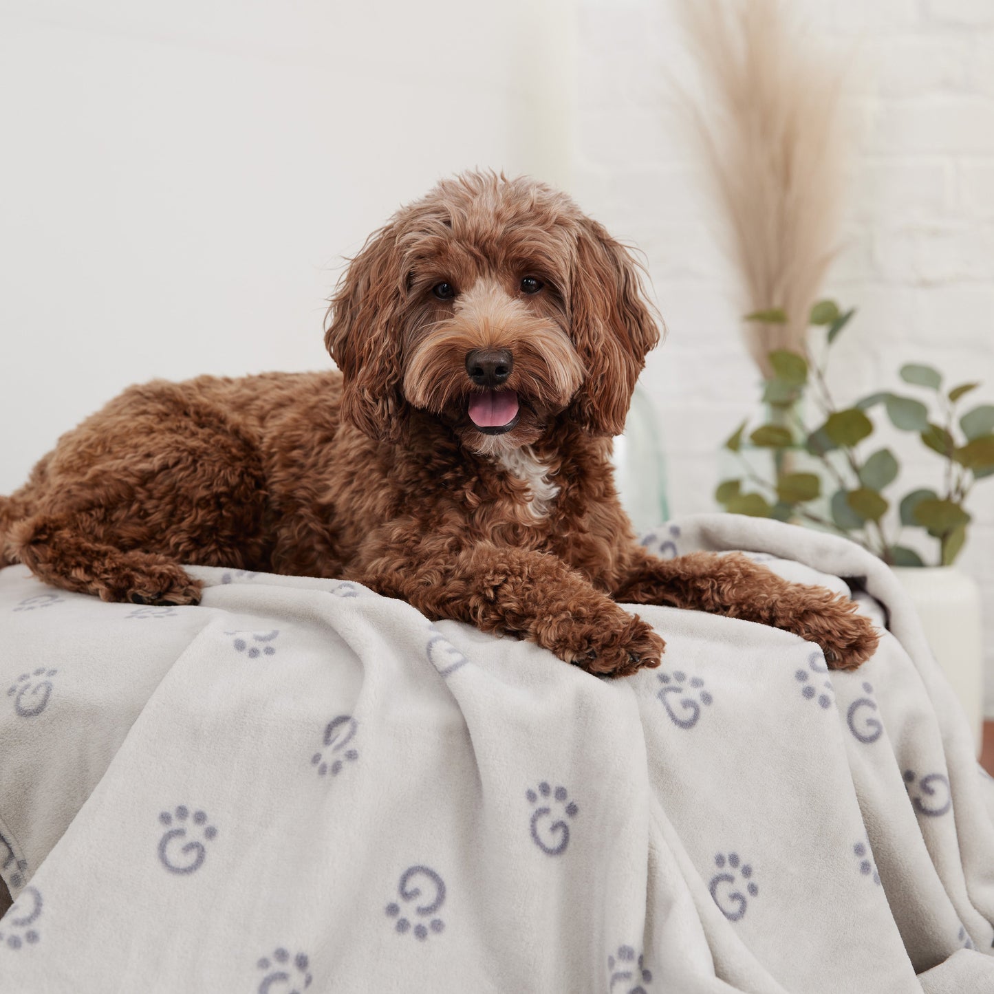Shared Pet Blanket – Grey Fleece for Dogs & Cats