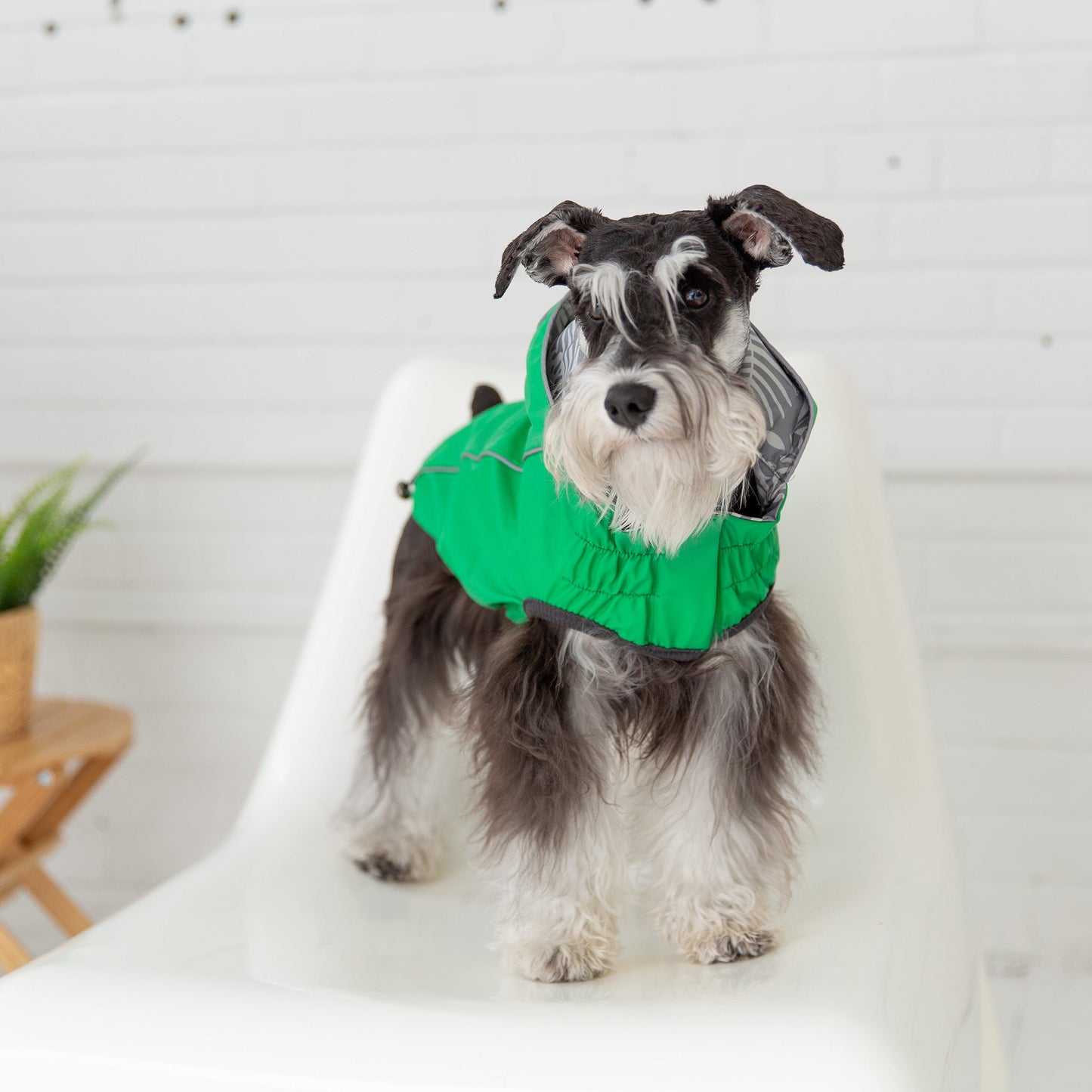 Reversible Dog Raincoat – Waterproof, Elasto-Fit, Tackable Hood, Green