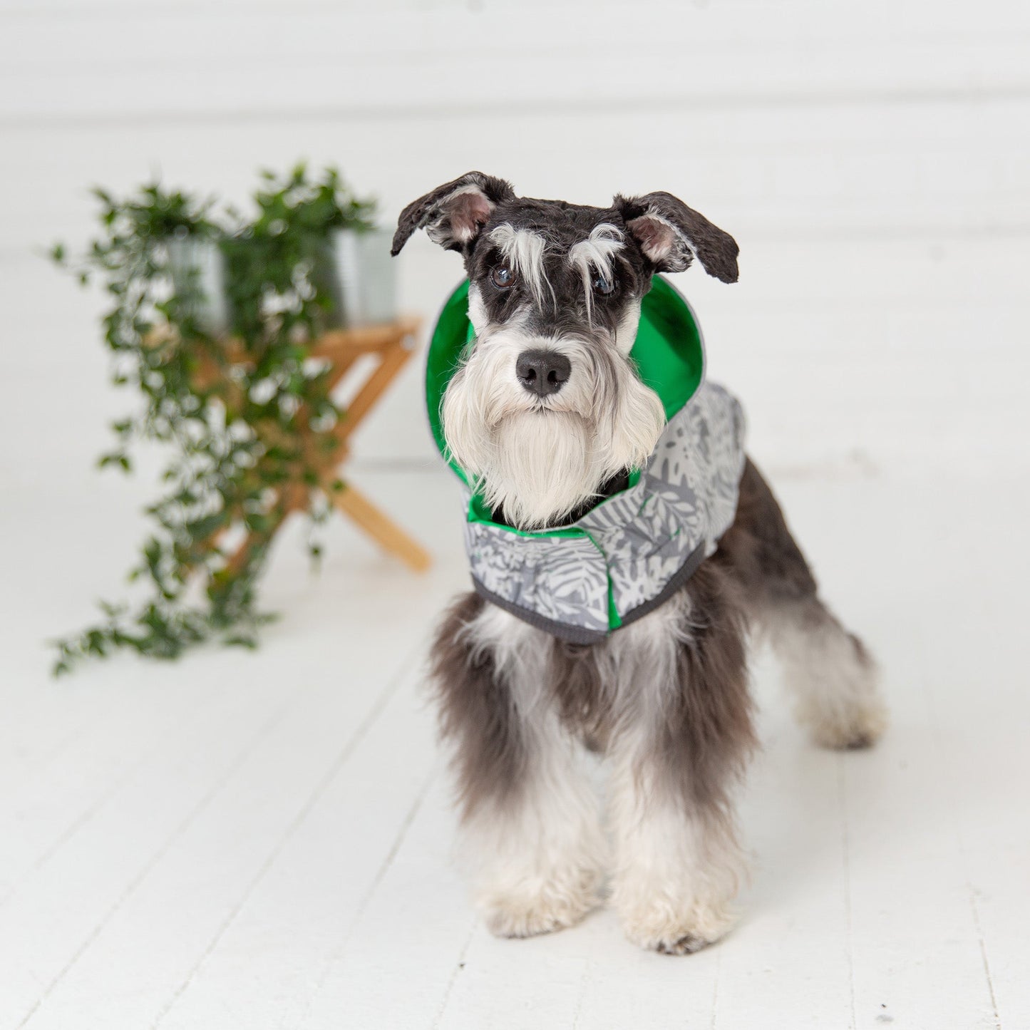 Reversible Dog Raincoat – Waterproof, Elasto-Fit, Tackable Hood, Green