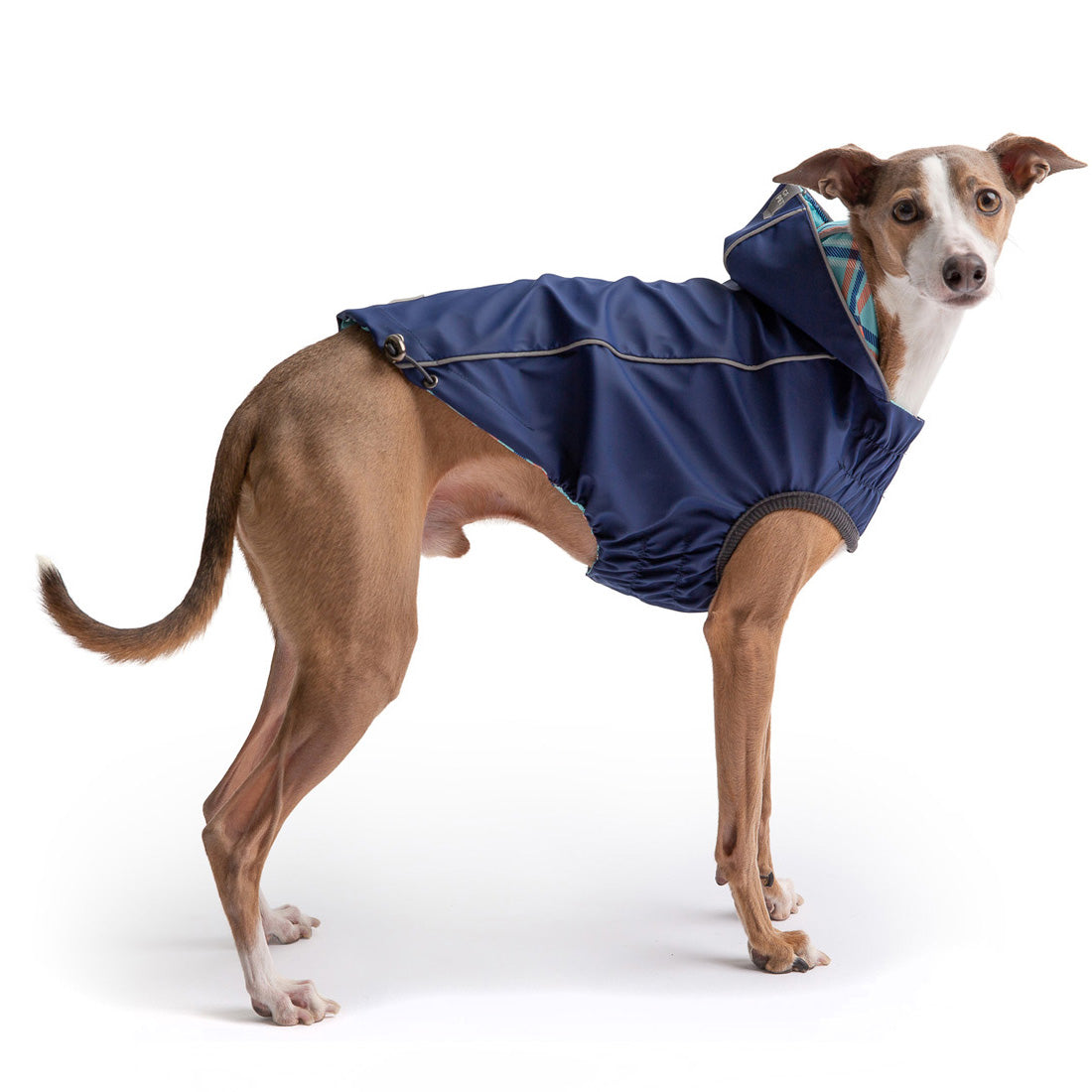 Dog Raincoat – Reversible Waterproof Navy