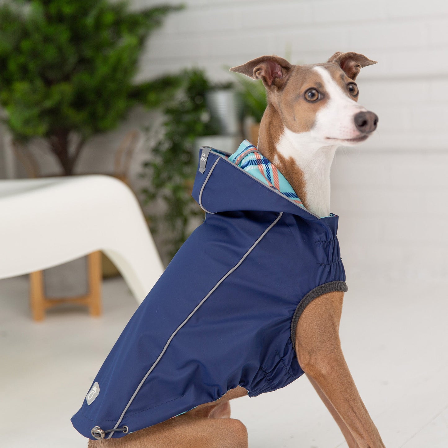 Dog Raincoat – Reversible Waterproof Navy