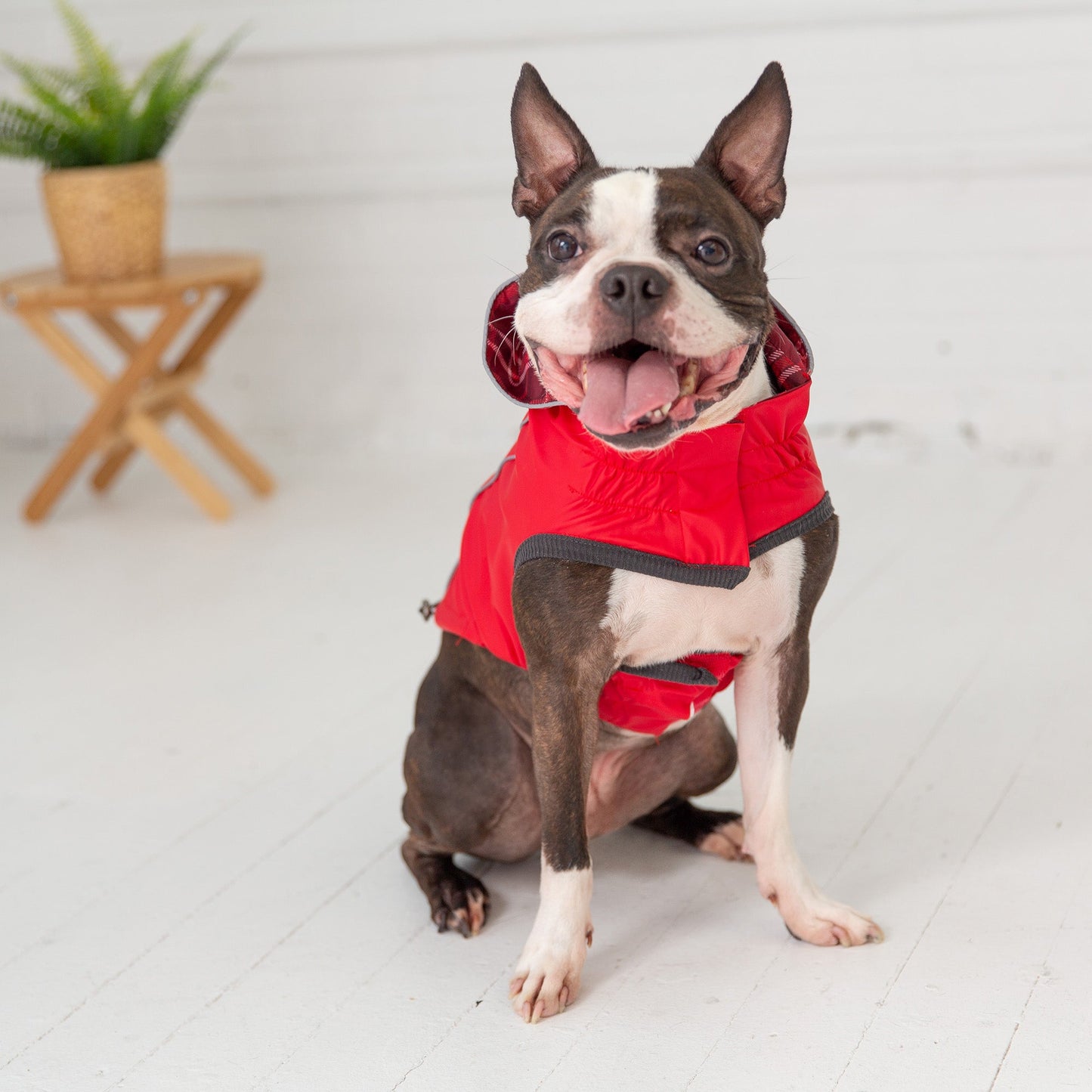 Dog Raincoat – Elasto-Fit Reversible Red