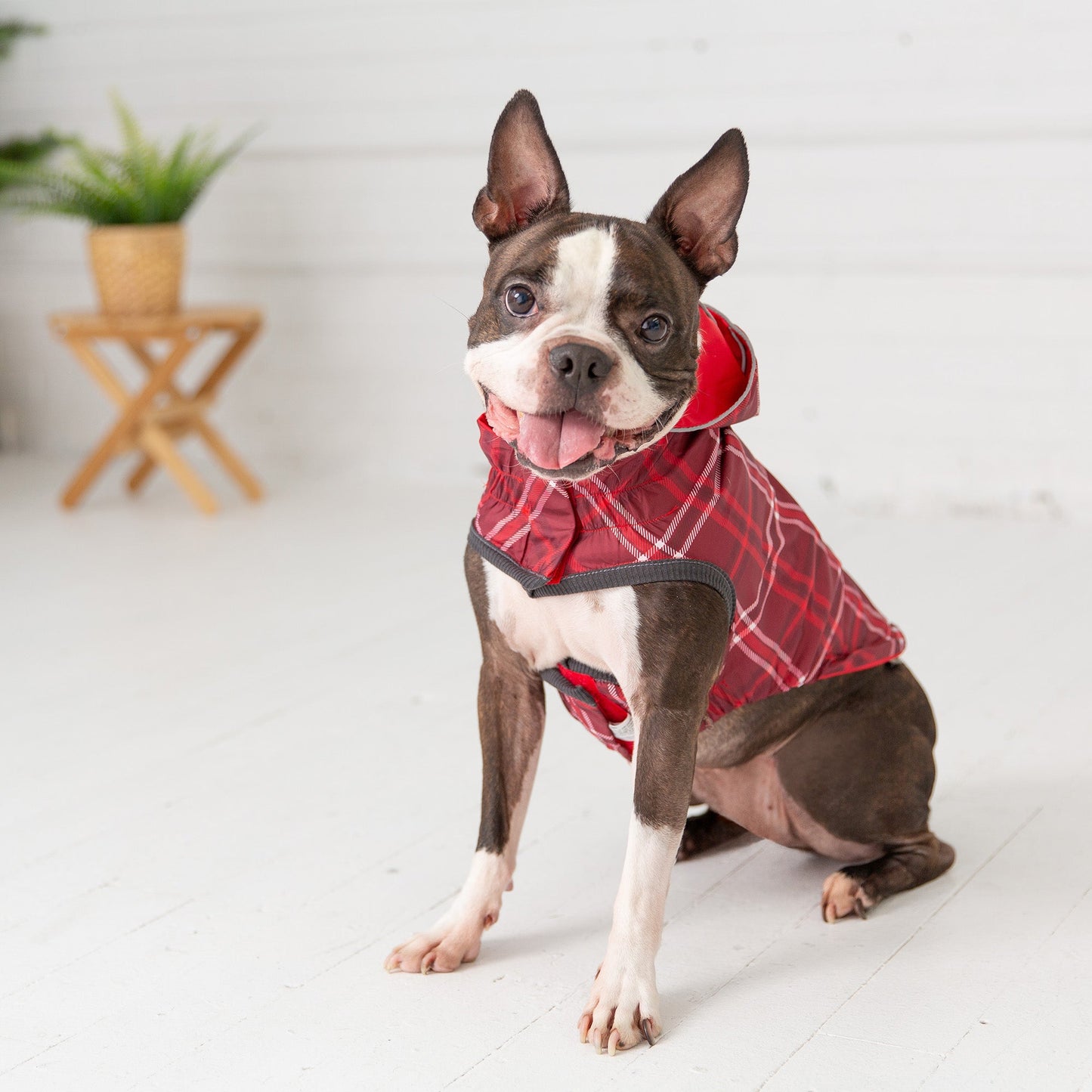 Dog Raincoat – Elasto-Fit Reversible Red