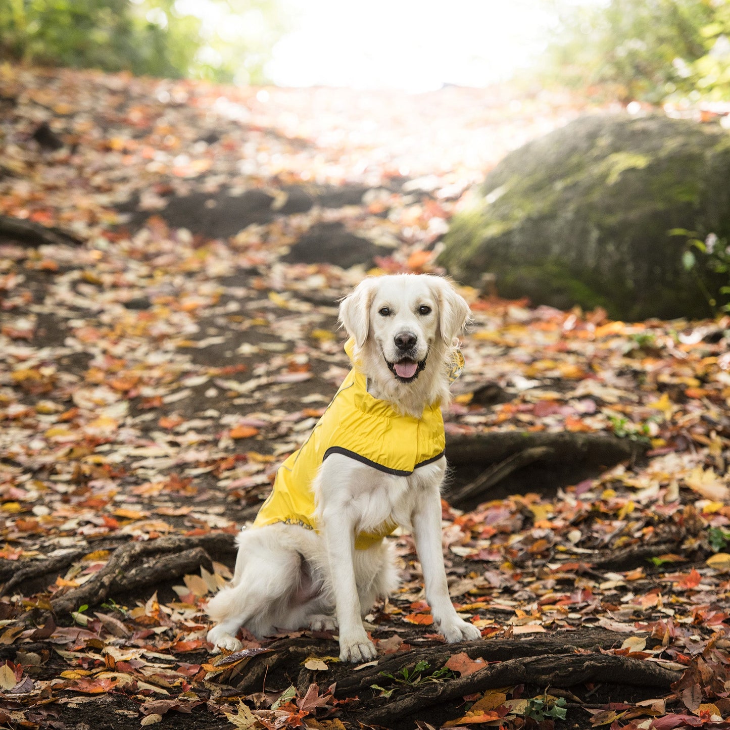 Dog Raincoat – Reversible Waterproof Hood Yellow